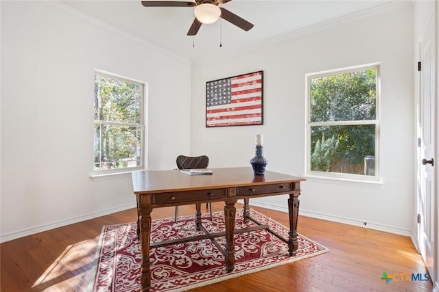 office area with plenty of natural light, wood-type flooring, and ornamental molding