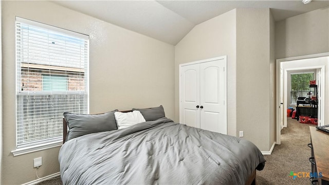 557/561 Creekside Cir, New Braunfels, TX 78130 - bedroom featuring carpet flooring, a closet, multiple windows, and lofted ceiling