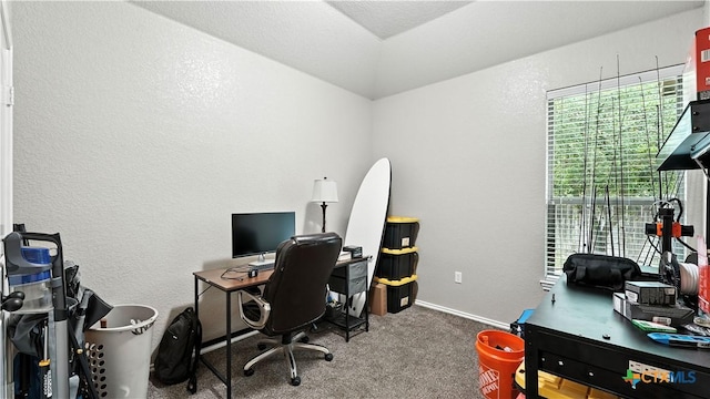 557/561 Creekside Cir, New Braunfels, TX 78130 - carpeted office space with a textured wall