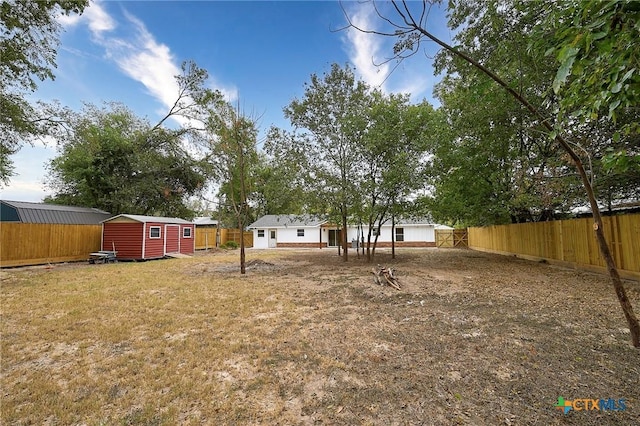 view of yard featuring a storage unit