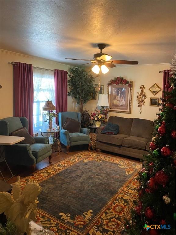 913 S Welhausen Ave, Shiner, TX 77984