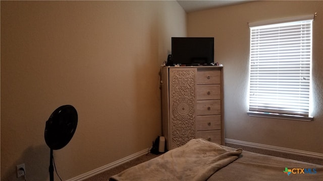 bedroom with carpet flooring