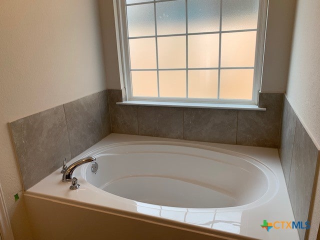 bathroom with a tub and a healthy amount of sunlight