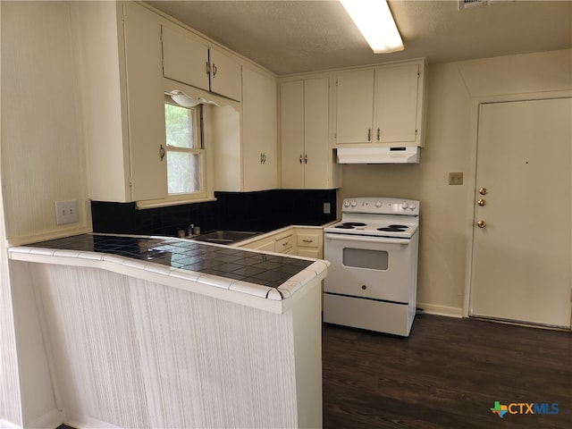201 W Young Ave, Temple, TX 76501 - kitchen with white electric range oven, tile counters, under cabinet range hood, a sink, and dark wood-style flooring