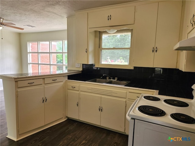201 W Young Ave, Temple, TX 76501 - kitchen with electric stove, a sink, a peninsula, dark wood finished floors, and a textured ceiling