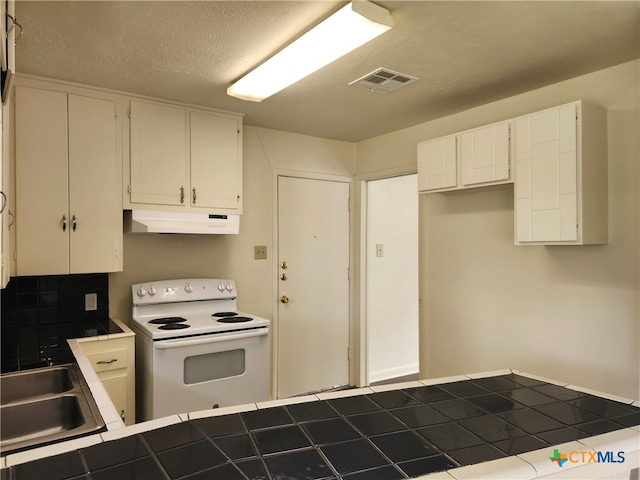 201 W Young Ave, Temple, TX 76501 - kitchen featuring electric stove, under cabinet range hood, tile counters, white cabinets, and a sink