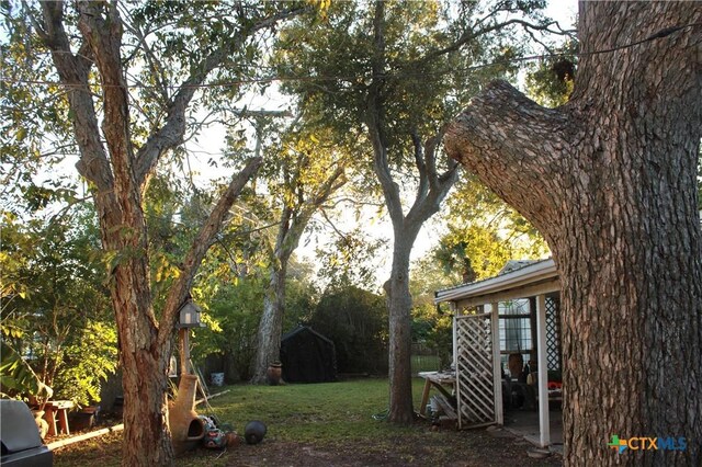110 Crockett St, Port Lavaca, TX 77979 - view of grassy yard featuring a storage shed