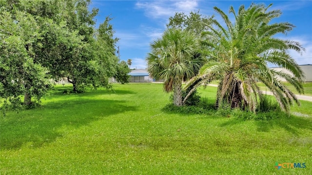 000 Polk Prt, Oconnor, TX 77982