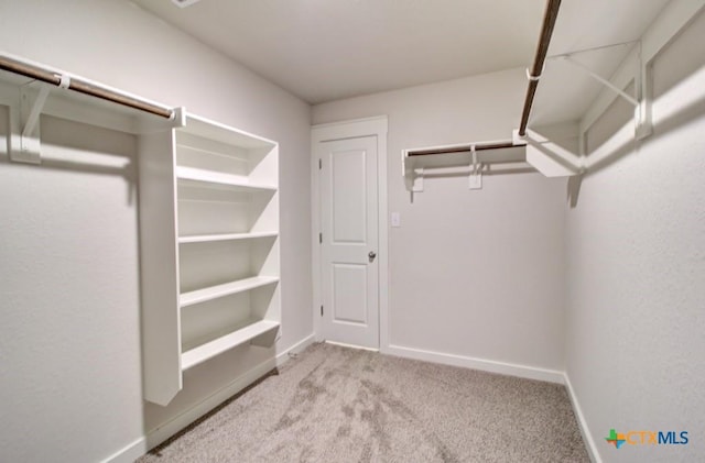 980 Gray Cloud Dr, New Braunfels, TX 78130 - spacious closet with carpet