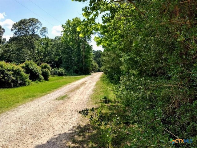 4807 Cathey Ln, Navasota TX, 77868 land for sale