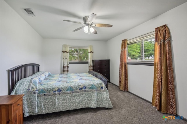 1035 Pine Meadow Rd, Seguin, TX 78155 - bedroom featuring ceiling fan, visible vents, multiple windows, and carpet floors
