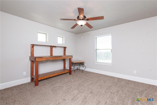 2705 Mystic Mountain Ln, Belton, TX 76513 - photo 16