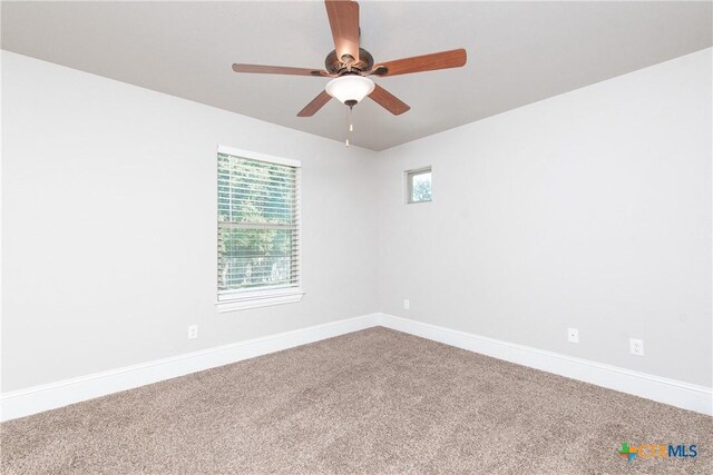 2705 Mystic Mountain Ln, Belton, TX 76513 - photo 22