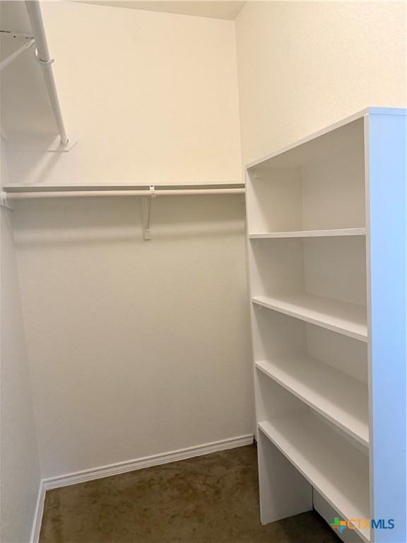 209 Anne Louise Dr, New Braunfels, TX 78130 - walk in closet with dark colored carpet