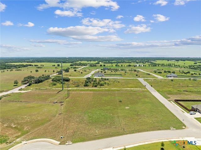 1450 Stone Russell Dr, Salado, TX 76571 - photo 5