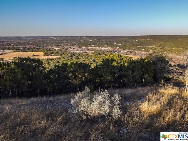 Listing photo 3 for LOT9 Hilltop Dr, Wimberley TX 78676