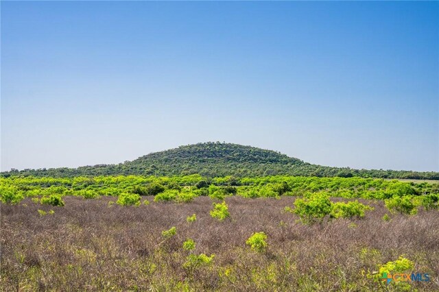 5230 County Road 409, Llano North, TX 76885 - photo 21