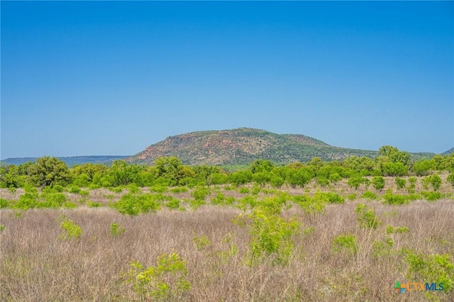 5230 County Road 409, Llano North, TX 76885 - photo 6