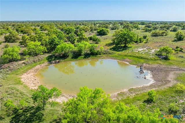 5230 County Road 409, Llano North, TX 76885 - photo 19