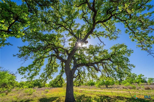 5230 County Road 409, Llano North, TX 76885 - photo 5