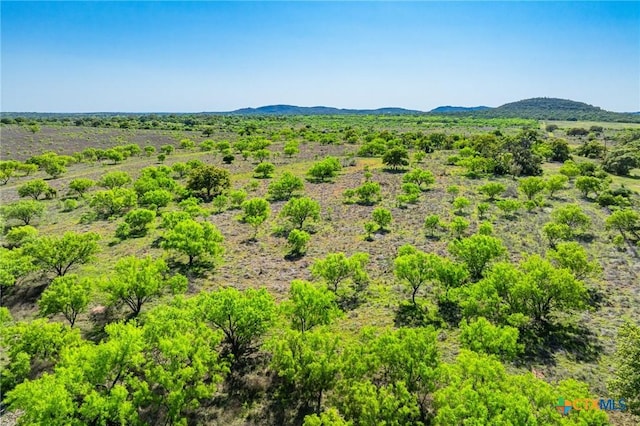 5230 County Road 409, Llano North, TX 76885 - photo 24