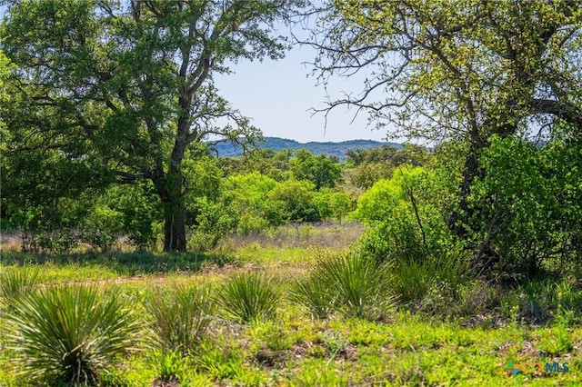 5230 County Road 409, Llano North, TX 76885 - photo 8