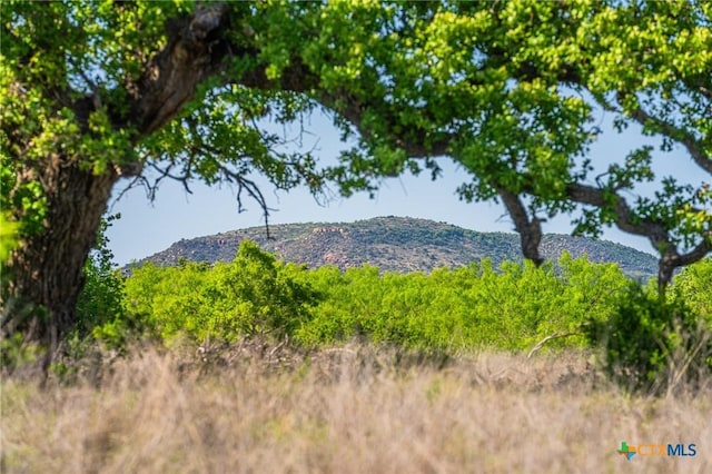 5230 County Road 409, Llano North, TX 76885 - photo 3