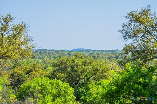 5230 County Road 409, Llano North, TX 76885 - photo 7