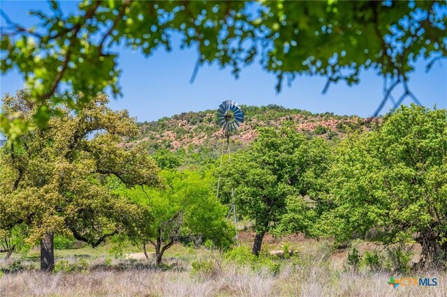 5230 County Road 409, Llano North, TX 76885 - photo 11