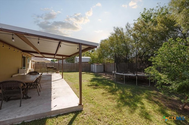 view of yard featuring a patio area, a trampoline, and a shed