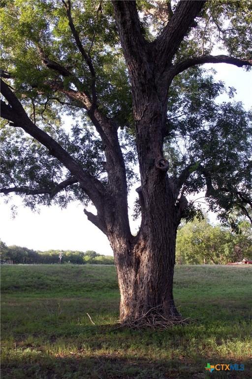 900 Old Lytton Springs Rd, Lockhart, TX 78644