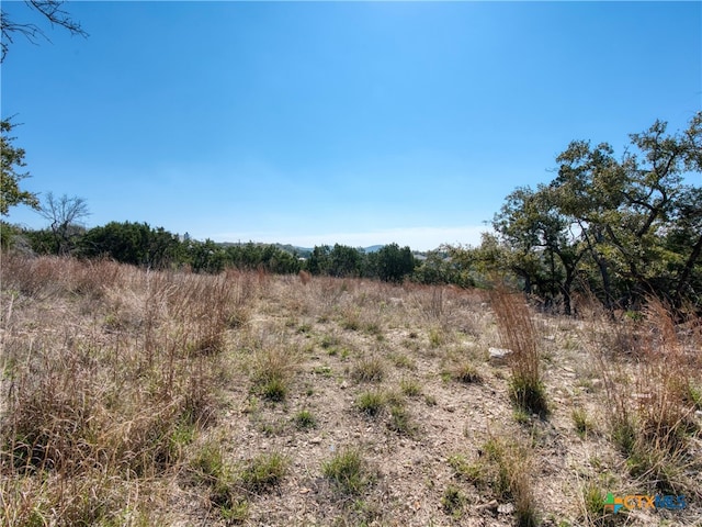 313 La Paloma Dr, Canyon Lake, TX 78133 - photo 13