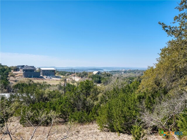 313 La Paloma Dr, Canyon Lake, TX 78133 - photo 18