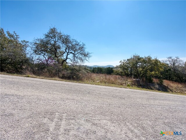 313 La Paloma Dr, Canyon Lake, TX 78133 - photo 11