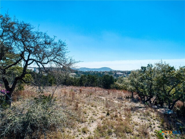 313 La Paloma Dr, Canyon Lake, TX 78133 - photo 4