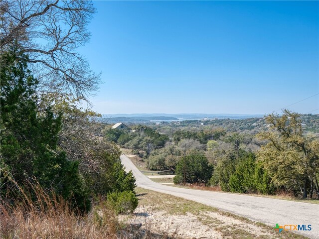 313 La Paloma Dr, Canyon Lake, TX 78133 - photo 20