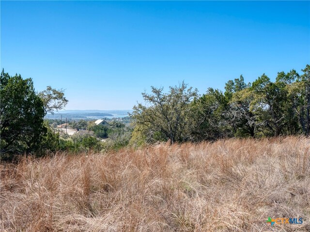 313 La Paloma Dr, Canyon Lake, TX 78133 - photo 16