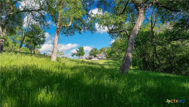 4158 Creek Rd, Temple, TX 76501 - photo 46