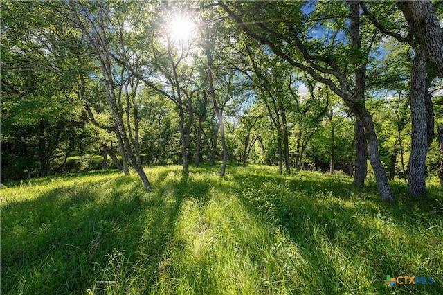 4158 Creek Rd, Temple, TX 76501 - photo 42