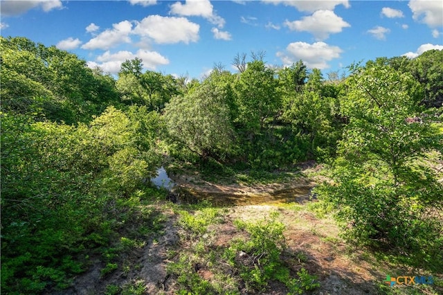 4158 Creek Rd, Temple, TX 76501 - photo 41
