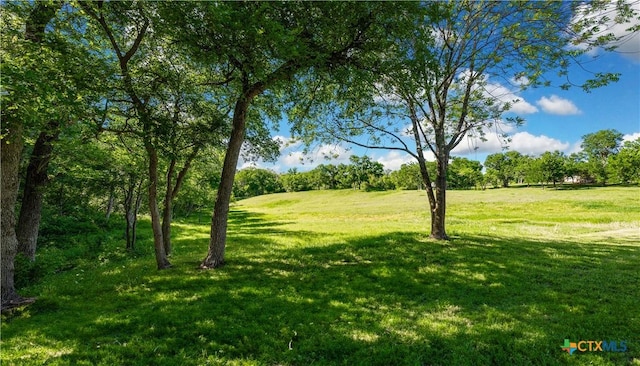 4158 Creek Rd, Temple, TX 76501 - photo 39