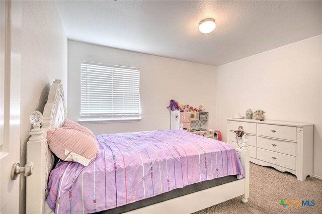 6803 Indian Hawthorne Dr, Killeen, TX 76542 - photo 38