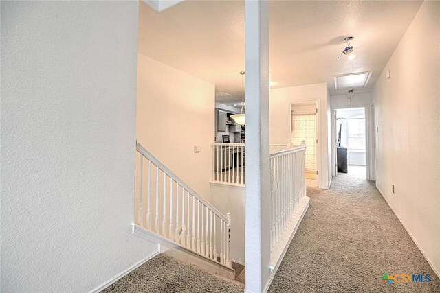 6803 Indian Hawthorne Dr, Killeen, TX 76542 - photo 27