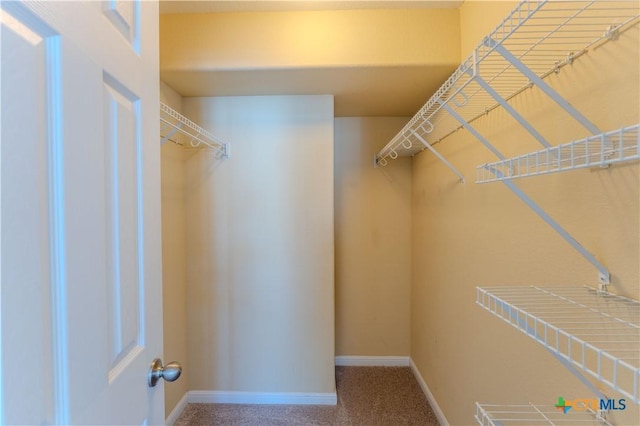 spacious closet with carpet floors