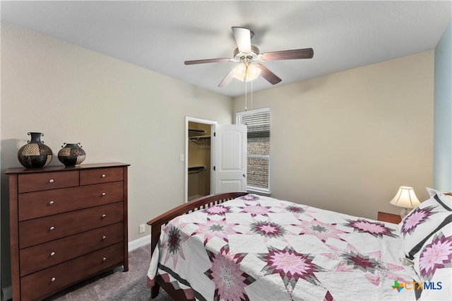 carpeted bedroom featuring a closet, a walk in closet, and ceiling fan