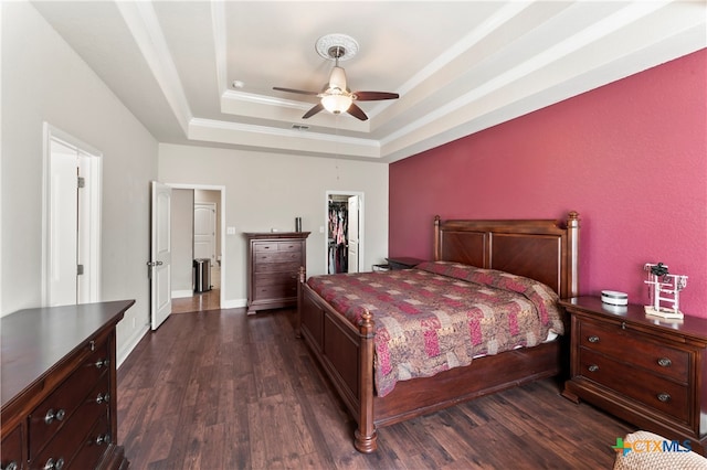 bedroom featuring dark wood-type flooring, ceiling fan, a closet, and a spacious closet