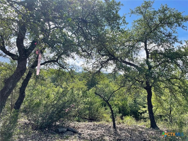 1449 Lavaca, Canyon Lake, TX 78133
