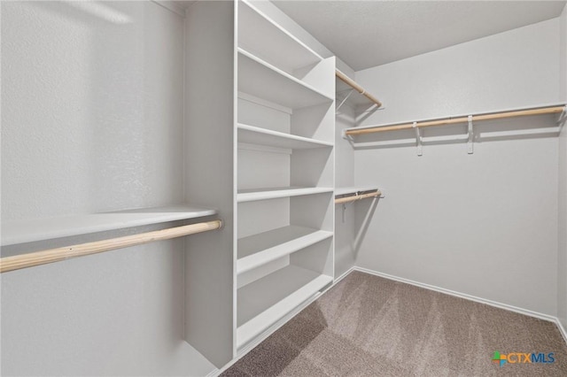 6208 Suellen Ln, Killeen, TX 76542 - spacious closet featuring carpet