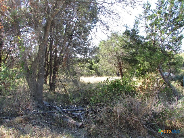 Address Not Disclosed, Belton TX, 76513 land for sale