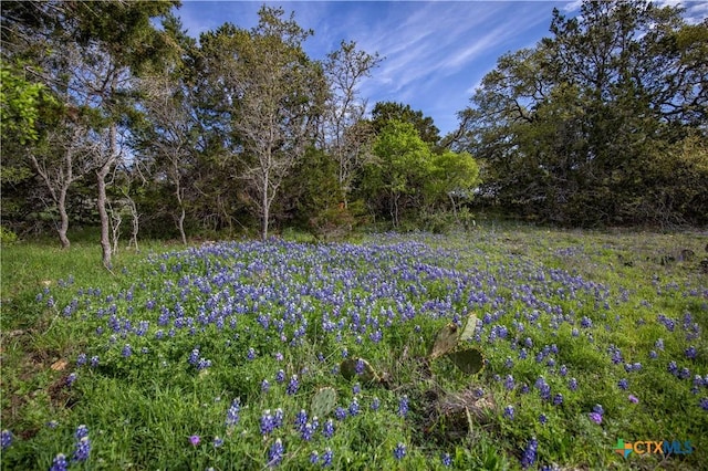 0 Hugo Rd, San Marcos TX, 78666 land for sale